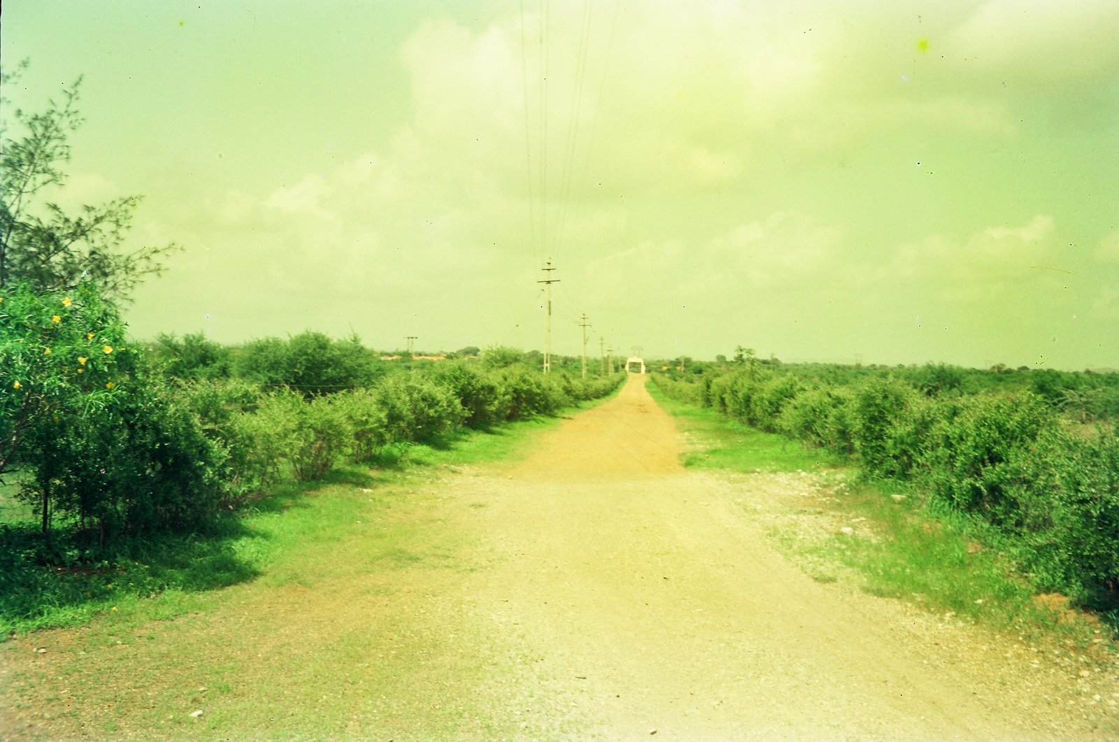 The Approach to Dhari Research Station